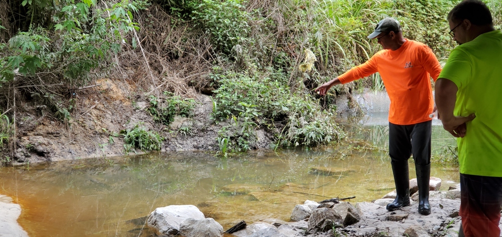 Russell spots minnows living in that mess, 10:41:47, 30.8525400, -83.3147620