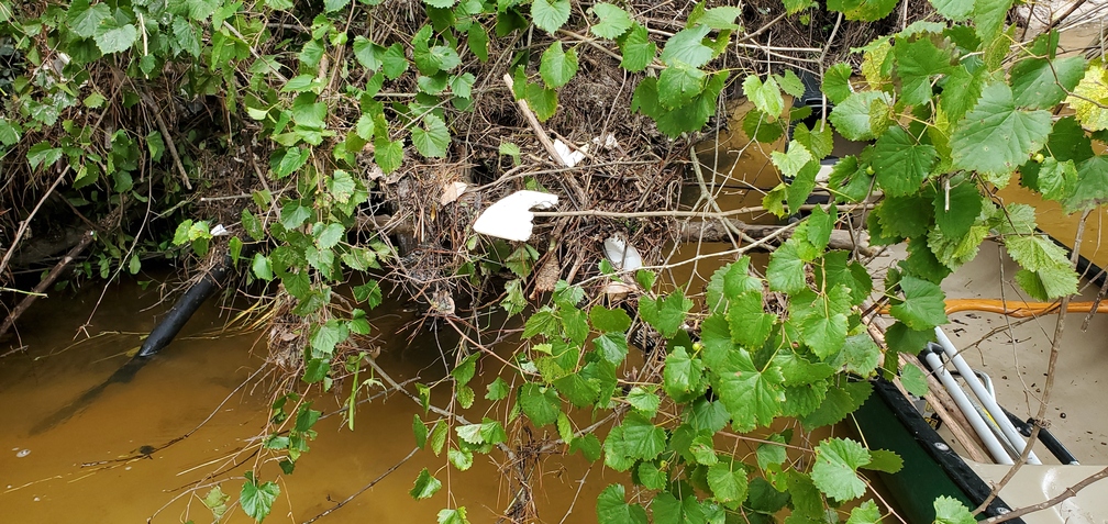 Hanging styrofoam trash, 10:44:47, 30.8527480, -83.3146960