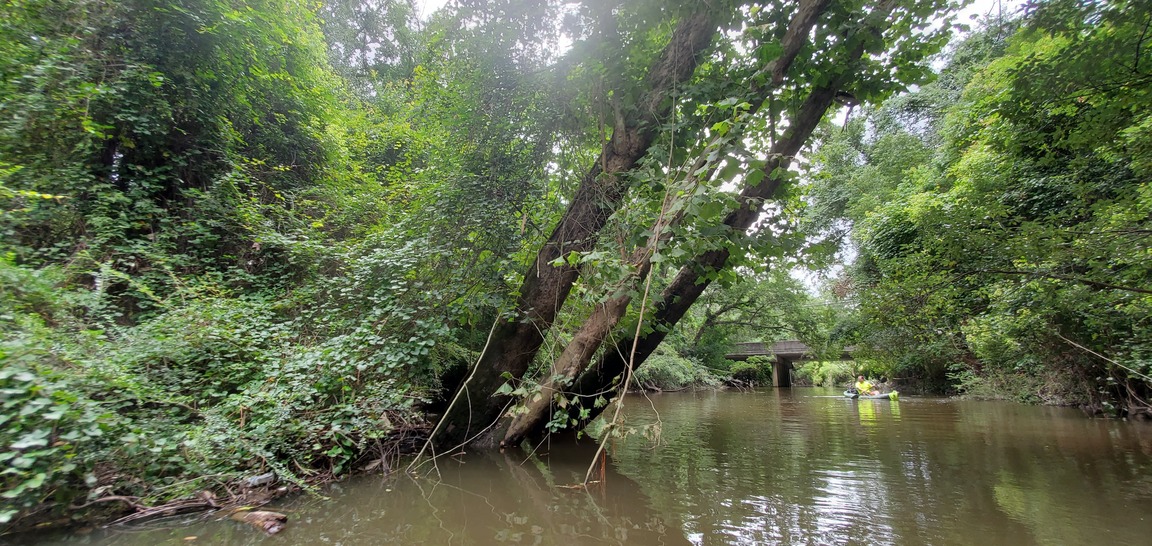 Sycamores, Bobby, Bridge, 11:37:33, 30.8602901, -83.3172178