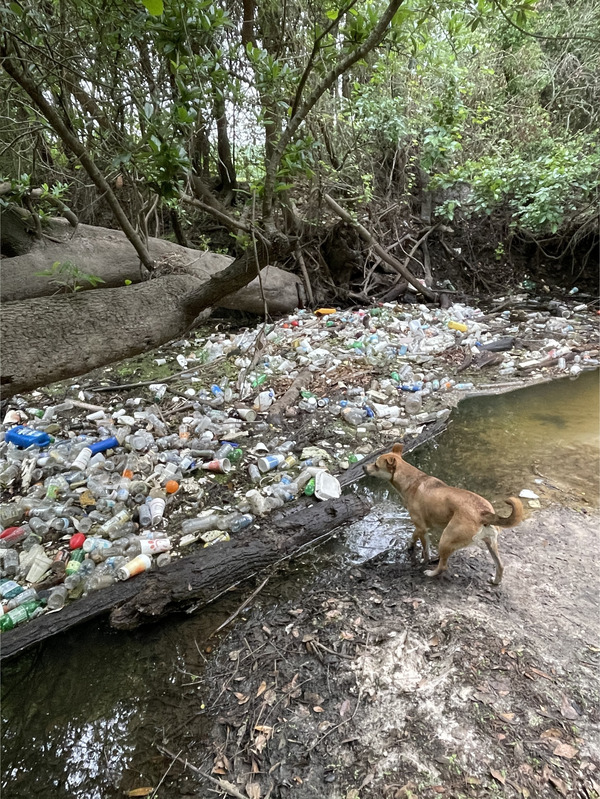 [Trash in Sugar Creek]