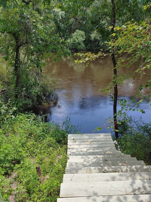 [Cleary Bluff, Withlacoochee River 2021-07-15]