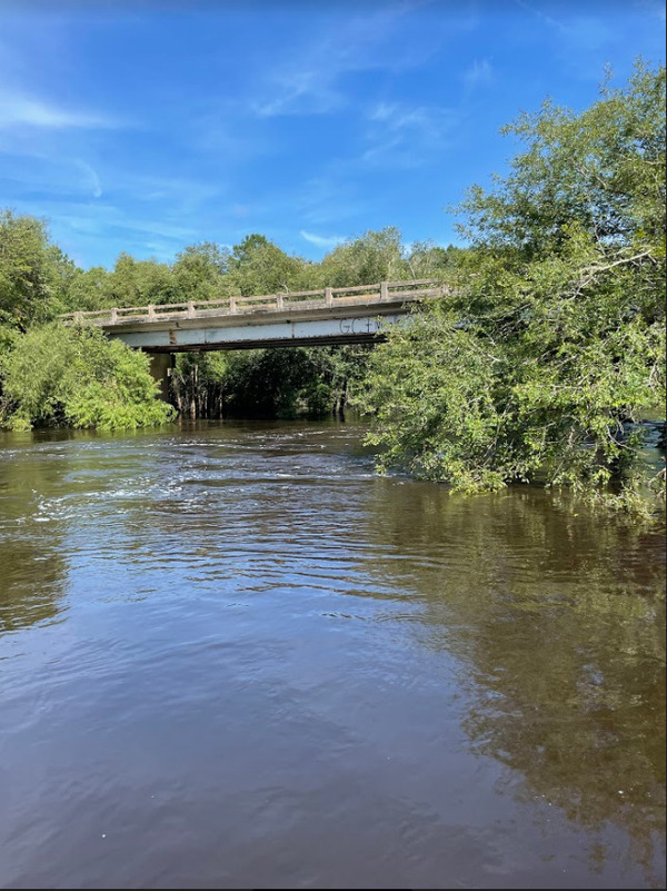 [Nankin Boat Ramp, Withlacoochee River 2021-07-15]