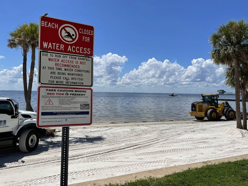 Red tide warning, beach closure sign in St. Petersburg, Fla.: Jaclyn Lopez, Center for Biological Diversity.