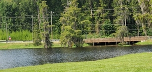 [N. Pecan St. Bridge over Mill Creek 00318185, Lake Irma, 10:57:04, 31.0434930, -83.0781150]