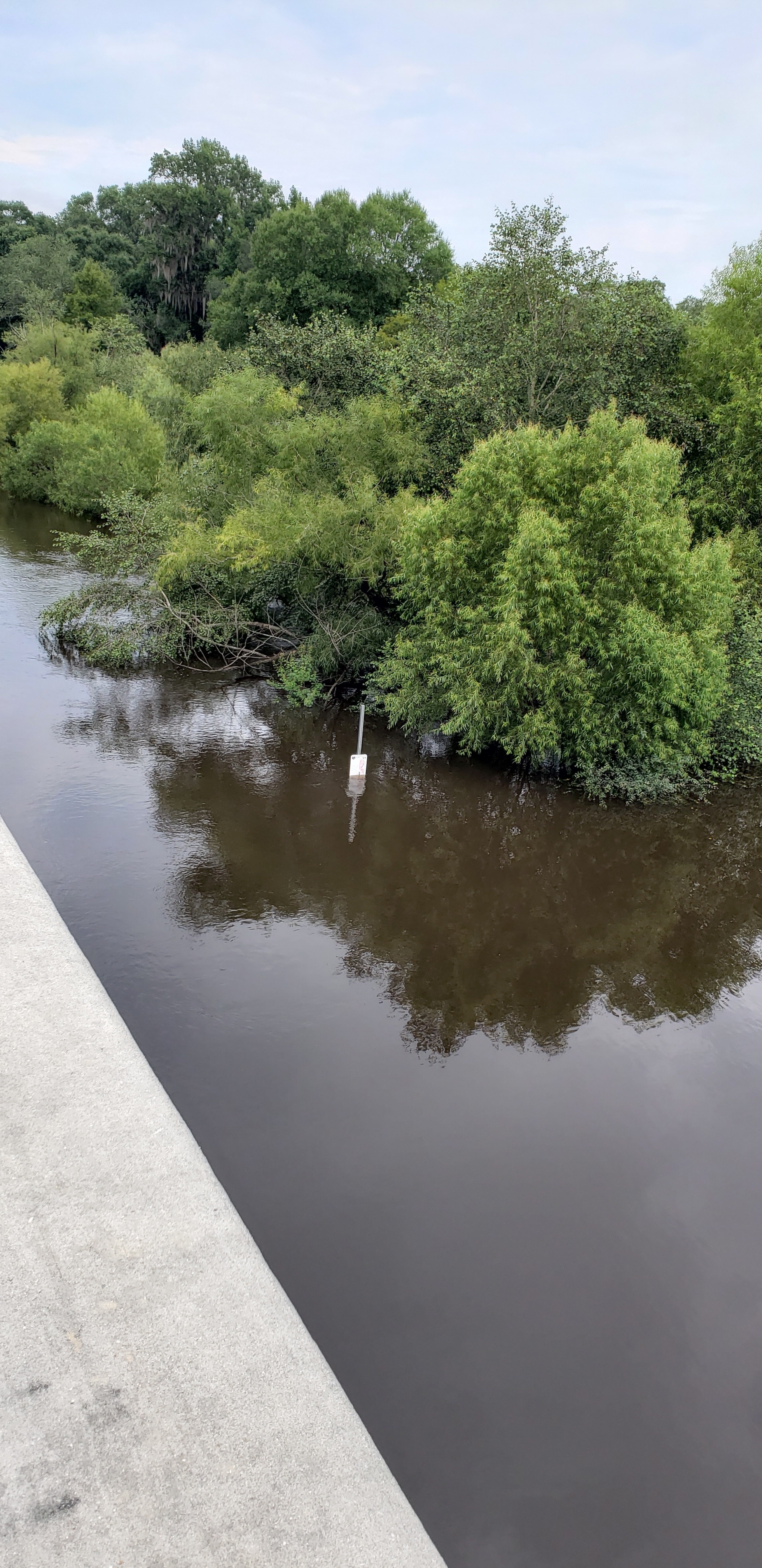 Folsom Bridge, Little River 2021-07-28