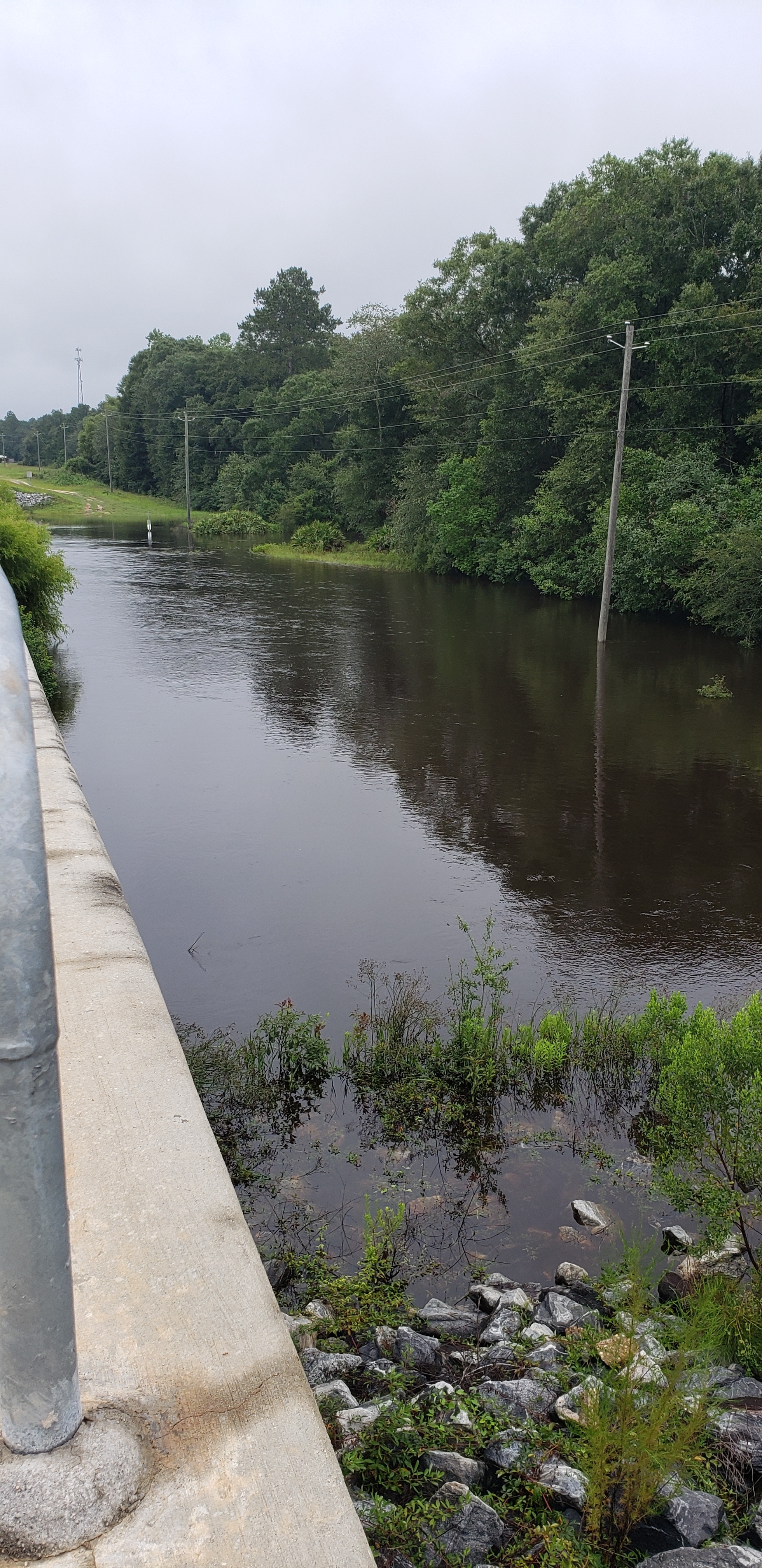 Hagan Bridge, Withlacoochee River 2021-08-05