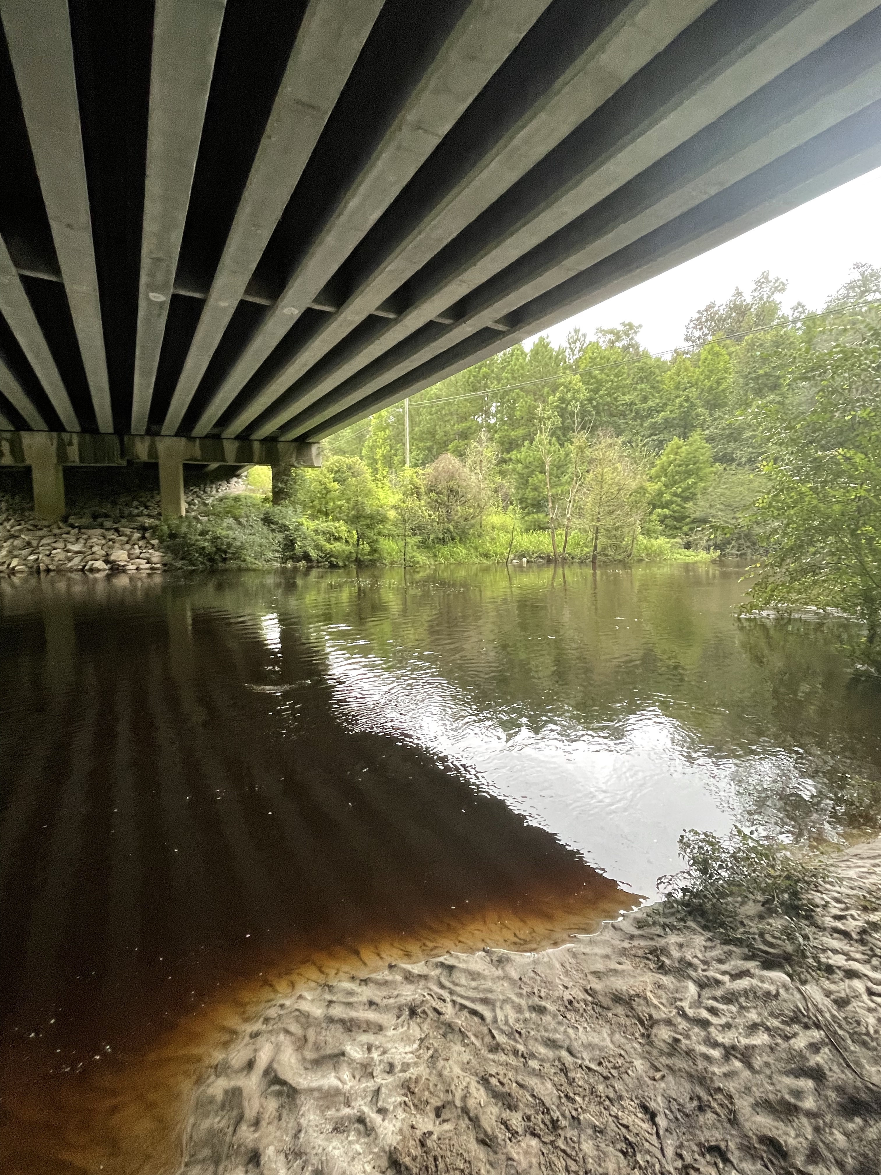 GA 133, Withlacoochee River 2021-08-05