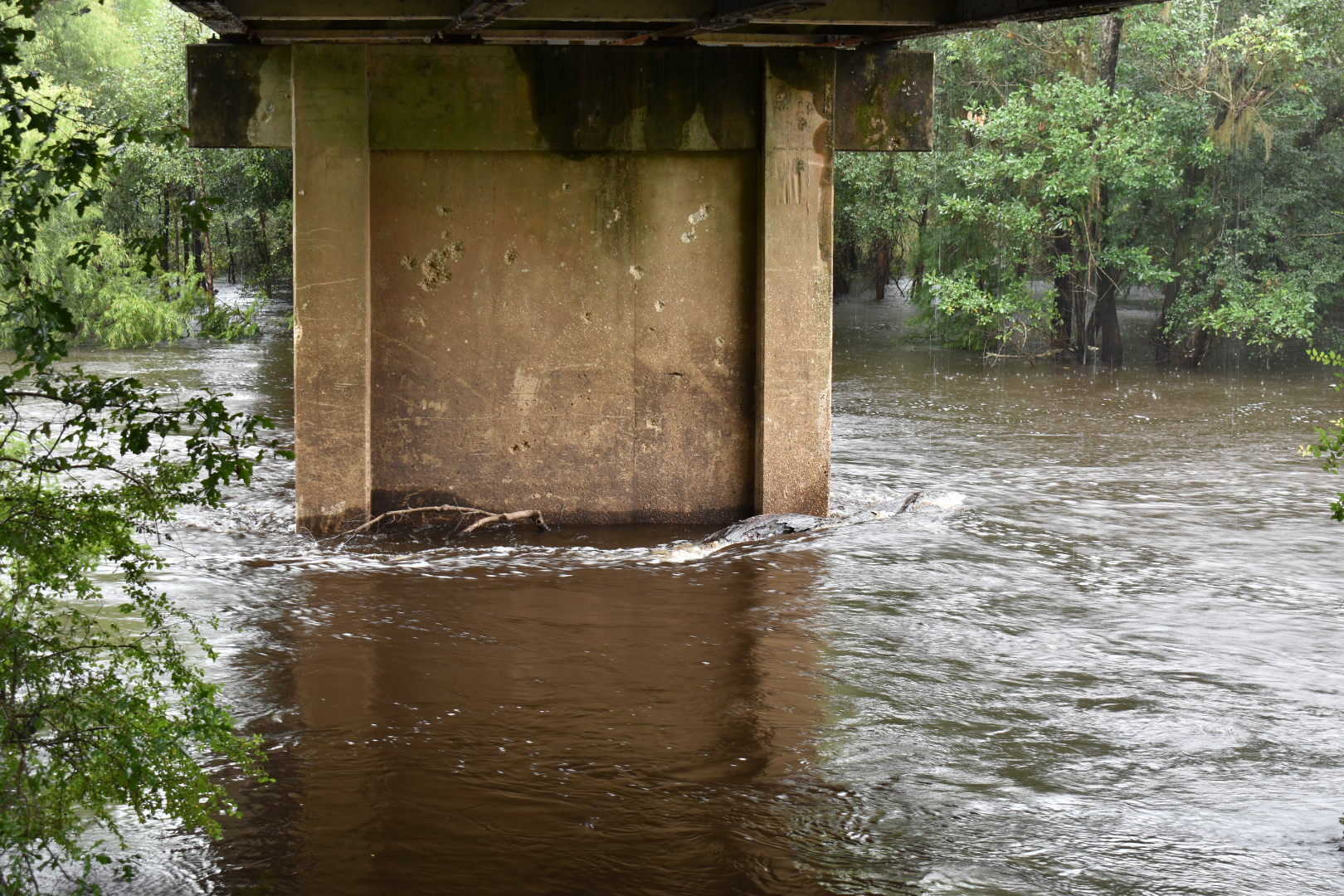 Clyattville-Nankin Road Bridge 2021-08-05