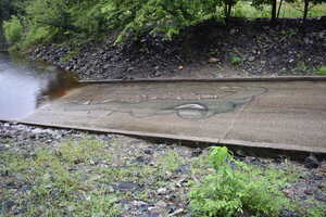 [Gator, State Line Boat Ramp 2021-08-05]