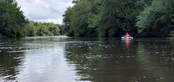 River bends right, 14:24:40, 30.6056357, -83.2650578