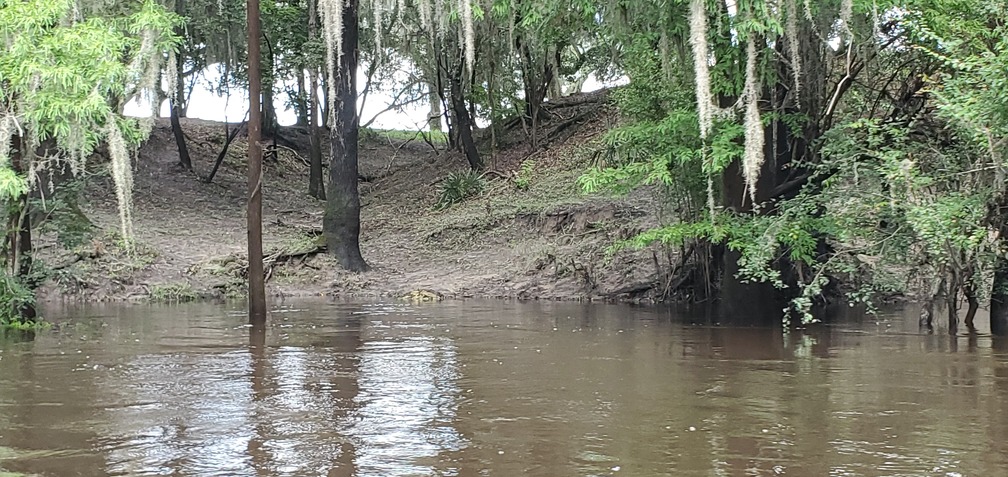 Eroded gully, 14:26:02, 30.6040049, -83.2638610