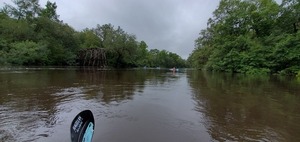 [Upstream to RR Trestle, 11:51:25, 30.6367228, -83.3503199]