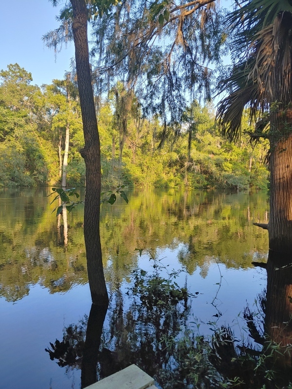 [Cleary Bluff, Withlacoochee River, 2021-08-11]