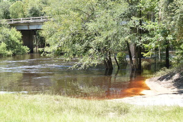 [Upstream, Nankin Boat Ramp, Withlacoochee River, 2021-08-12]