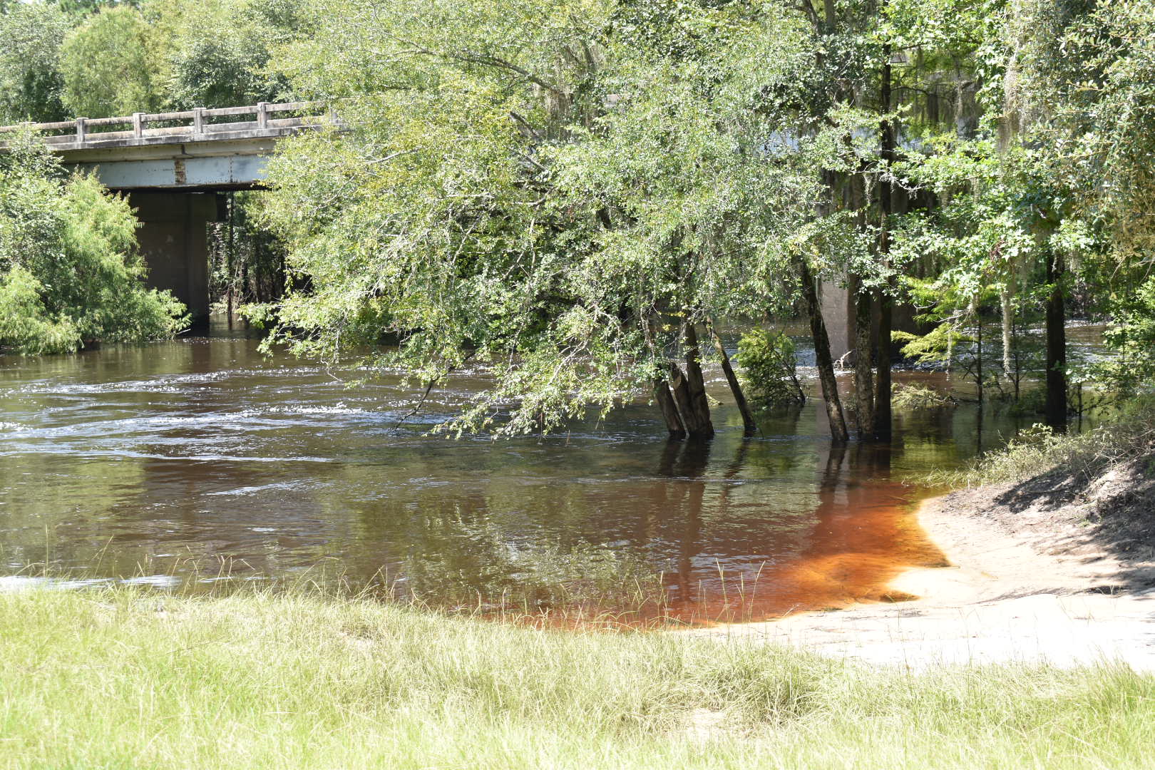 Upstream, Nankin Boat Ramp, Withlacoochee River, 2021-08-12