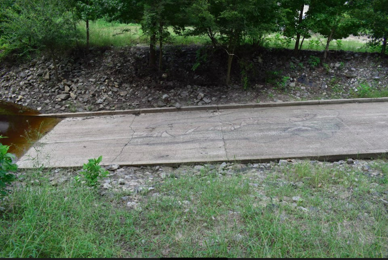 Gator, State Line Boat Ramp 2021-08-19