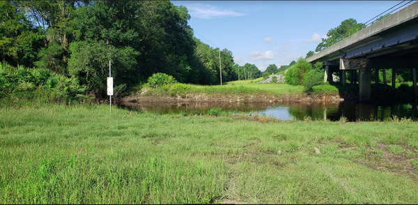 [Hagan Bridge Landing, Withlacoochee River 2021-08-19]