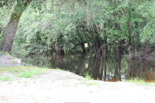 [Knights Ferry Boat Ramp, Withlacoochee River 2021-08-19]