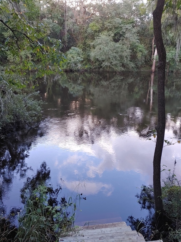 [Cleary Bluff, Withlacoochee River @ NE Withla Bluffs Way 2021-08-25]