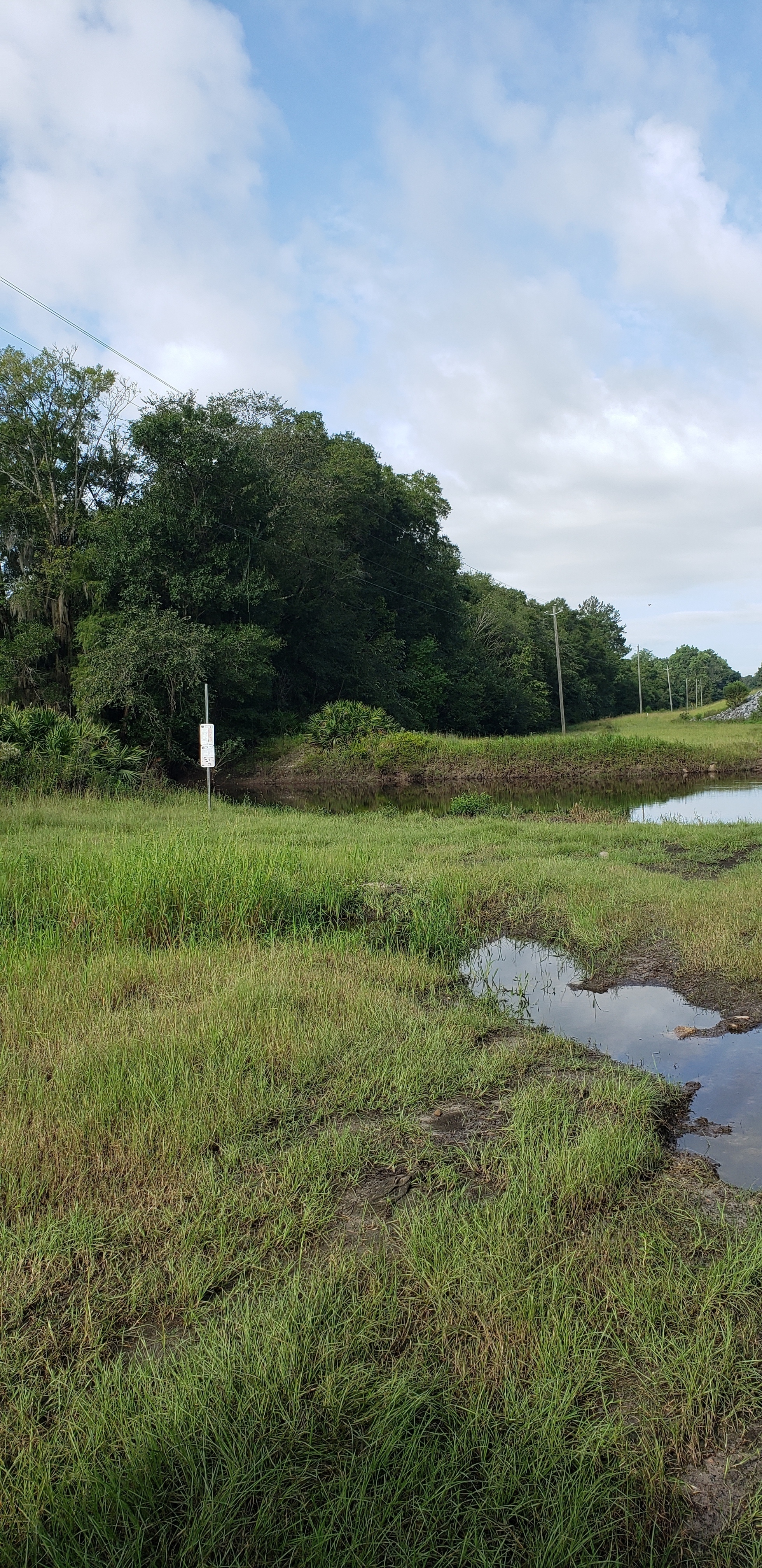 Hagan Bridge Landing, Withlacoochee River @ GA 122 2021-08-25