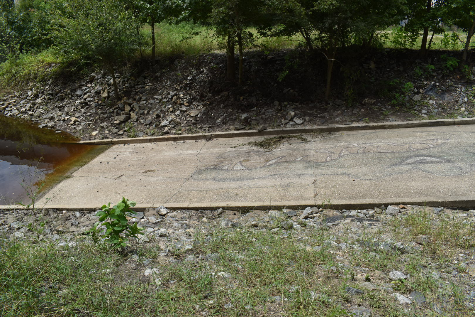 State Line Boat Ramp Gator Water Level, Withlacoochee River @ GA 133 2021-08-26