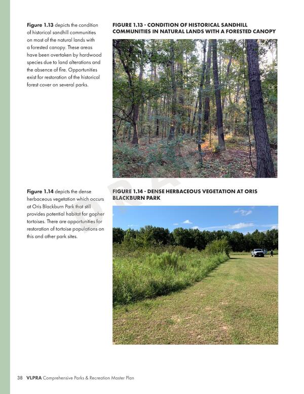 FIGURE 1.13 - CONDITION OF HISTORICAL SANDHILL COMMUNITIES IN NATURAL LANDS WITH A FORESTED CANOPY