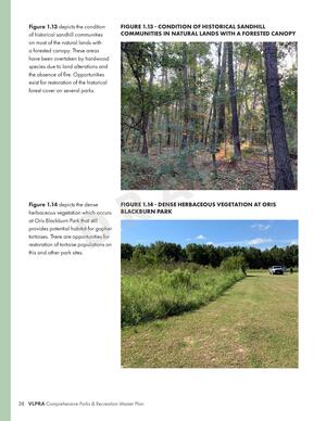 [FIGURE 1.13 - CONDITION OF HISTORICAL SANDHILL COMMUNITIES IN NATURAL LANDS WITH A FORESTED CANOPY]