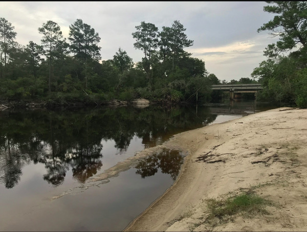 [Naylor Park Beach, Alapaha River @ GA 122 2021-08-27]