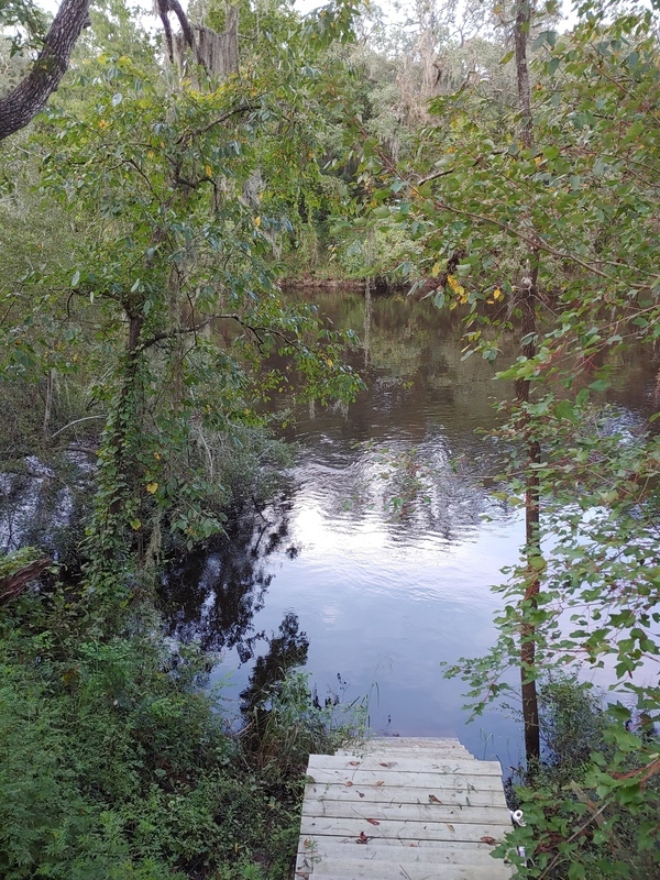 [Cleary Bluff, Withlacoochee River @ Withla Bluffs Way 2021-09-01]