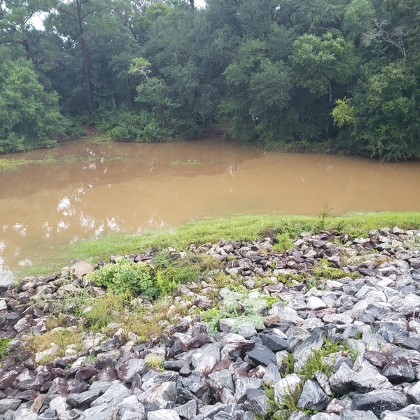 [Folsom Bridge Landing, Little River @ GA 122 2021-09-02]