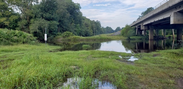 [Hagan Bridge Landing, Withlacoochee River @ GA 122 2021-09-02]