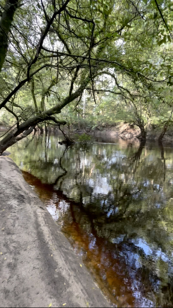 [GA 133 Landing, Withlacoochee River @ GA 133]