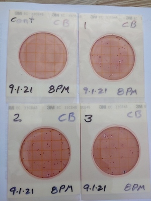 [Plates, Cleary Bluff 2021-09-01]