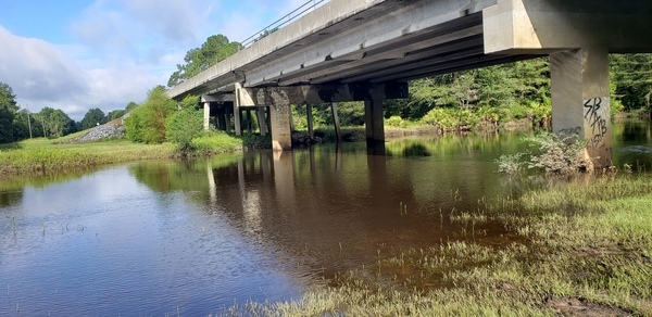 [Hagan Bridge Landing, Withlacoochee River @ GA 122 2021-09-09]