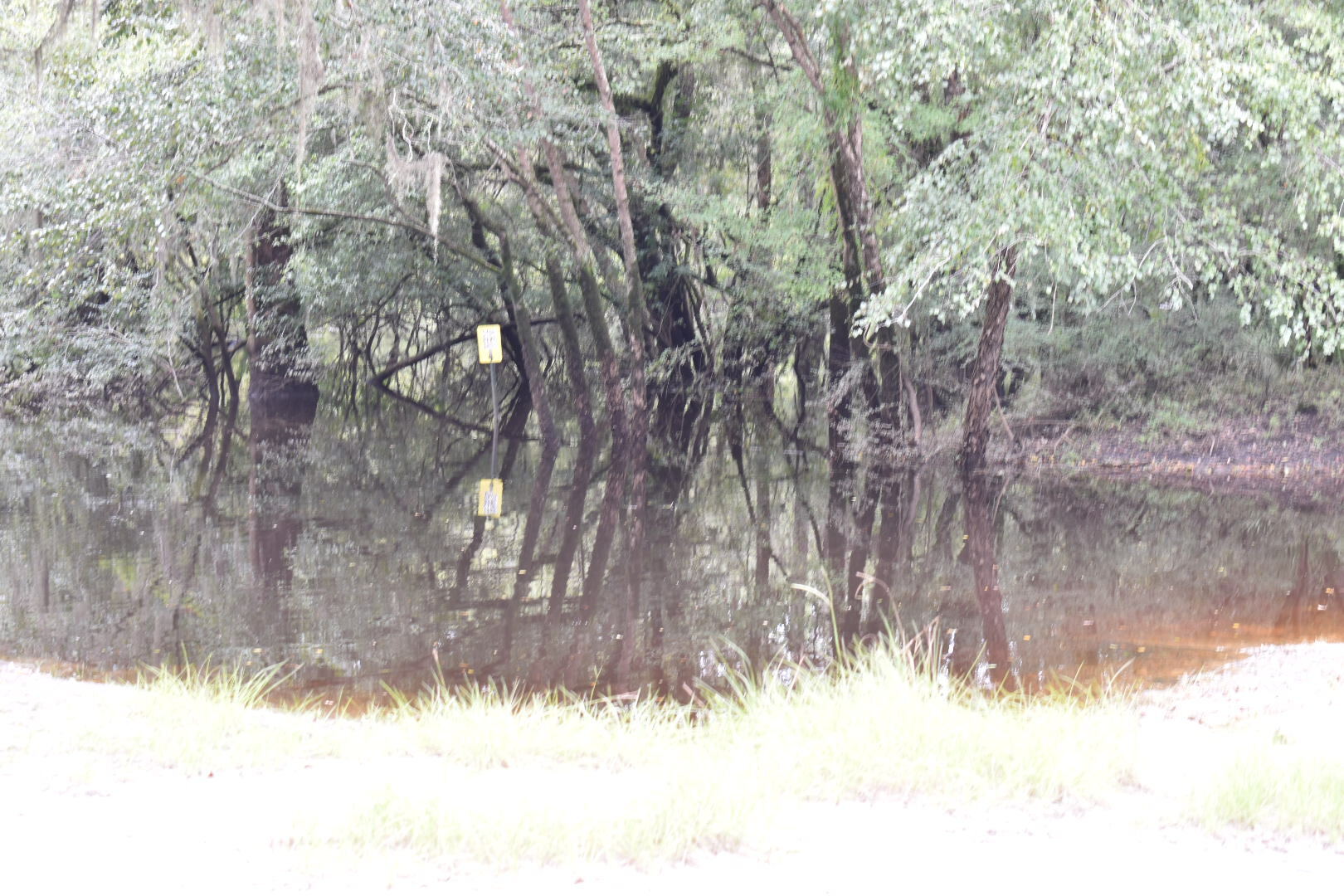 Knights Ferry Boat Ramp Water Level, Withlacoochee River @ 2021-09-09