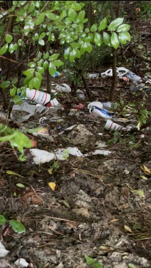 Styrofoam, bottles, and cans, 2021