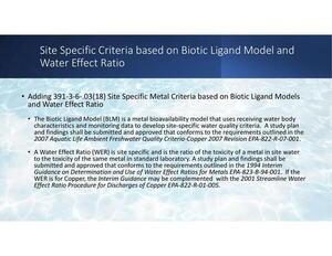 [Site Specific Criteria based on Biotic Ligand Model and Water Effect Ratio]