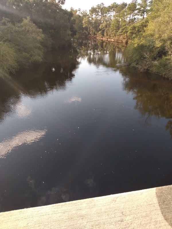 [Willacoochee Landing, Alapaha River @ GA 135 2021-09-22]