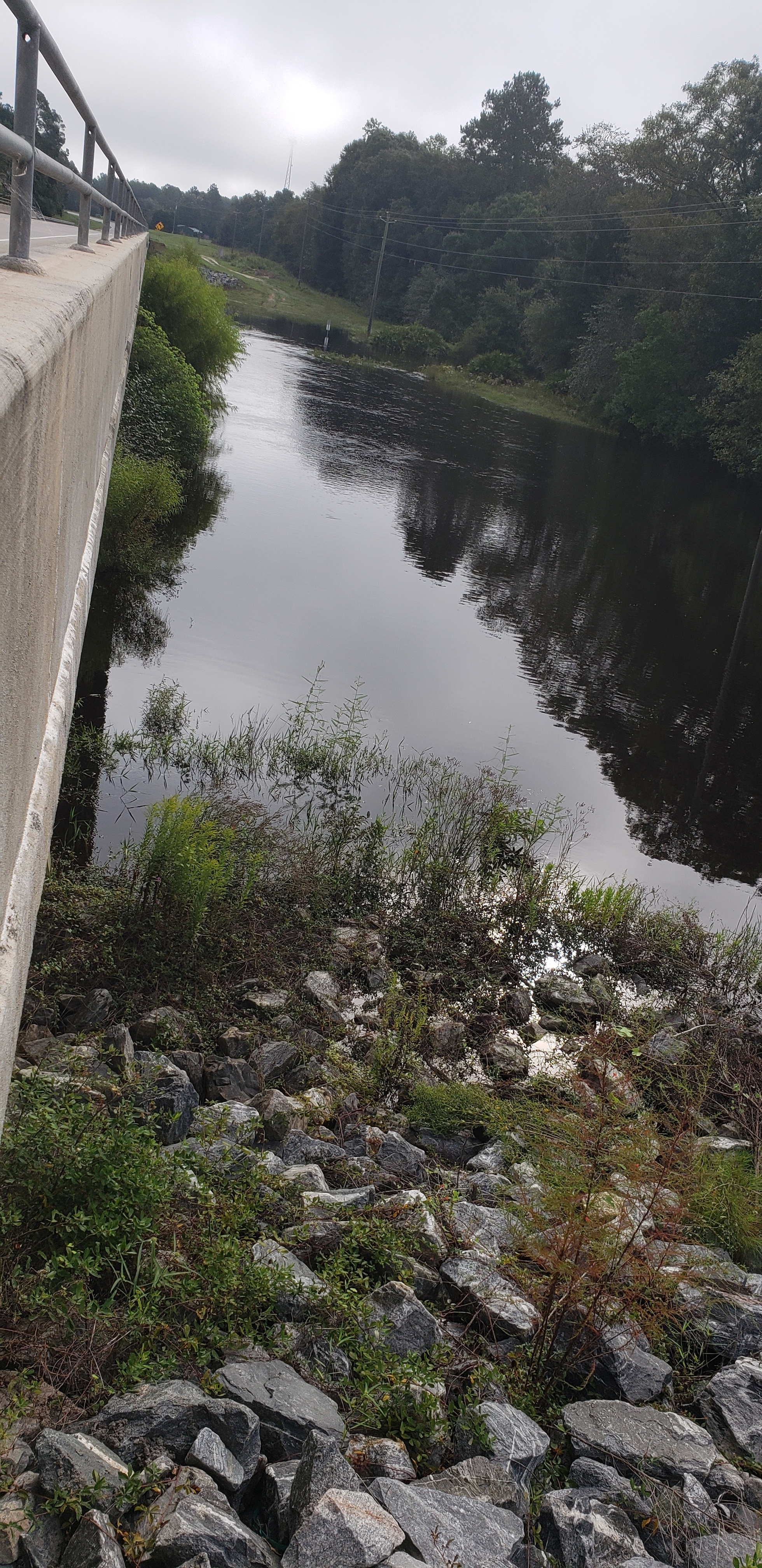 Hagan Bridge Landing, Withlacoochee River @ GA 122 2021-09-22