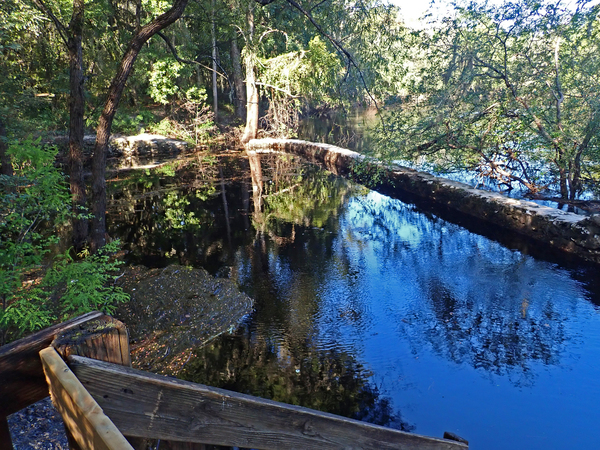 [Flooding on the Suwannee River at Suwannee Springs on 9/23/2021. Suwannee; Springs gauge 53.86'. Photo: Edwin McCook, SRWMD]