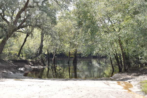 [Knights Ferry Boat Ramp, Withlacoochee River @ 2021-09-30]