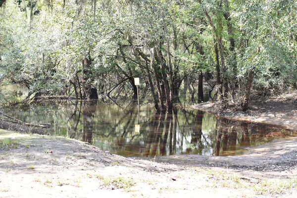 Upstream, Knights Ferry Boat Ramp, Withlacoochee River @ 2021-09-30