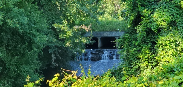 [Hightower Creek under St. Augustine Road]