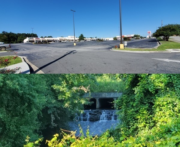 Parking lot, Hightower Creek