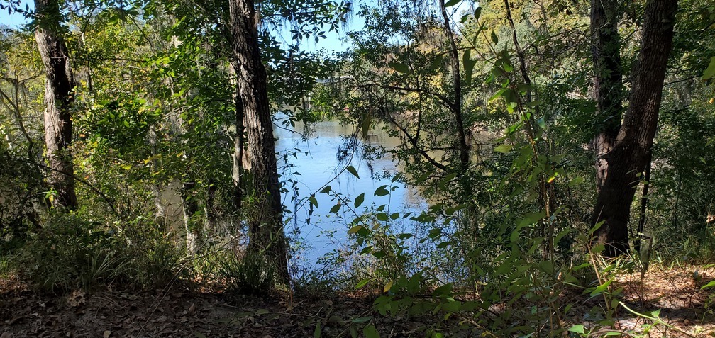 Upstream to Horn Bridge beyond State Line Boat Ramp