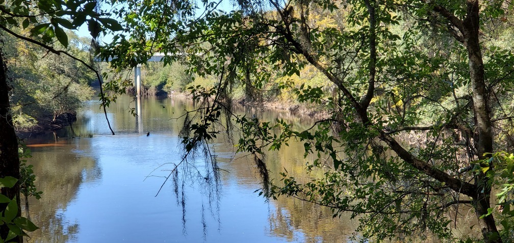 Horn Bridge zoom