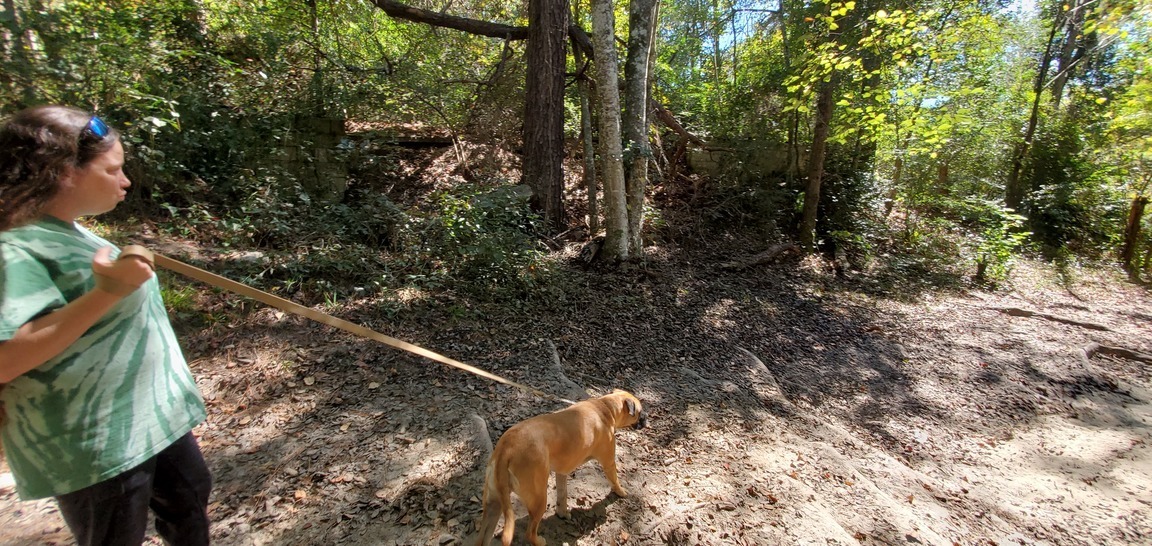 Sara Jay, Honeybun, Old Horns Ferry Bridge abutment