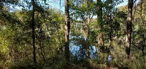 [Horn Bridge pillars upstream]