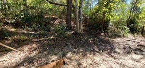 [Old Horns Ferry Bridge abutment]