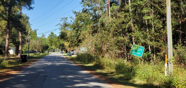 [Inaccurate Ray City City Limit sign, Pauline Ave., 14:09:22, 31.0675666, -83.1966555]